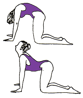 Kundalini Yoga Los Angeles. cat-cow posture in kundalini yoga los angeles